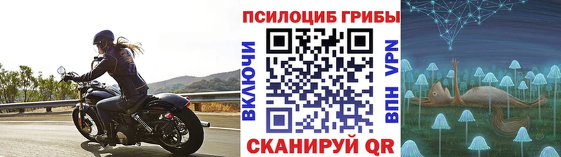 kraken онион  Руза  Галлюциногенные грибы GOLDEN TEACHER 